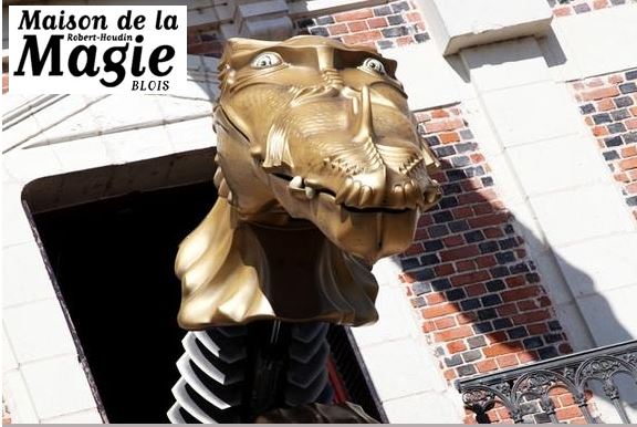 Capture maison de la magie