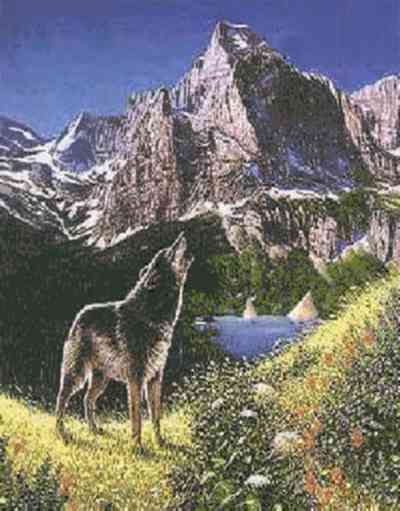 cinq loups