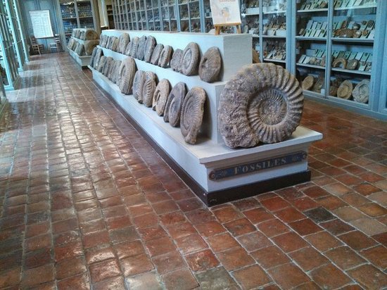 musee semur en auxois