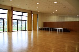 sallegrippe1a