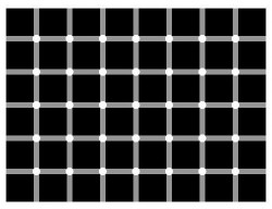 Vignette de L'illusion d'optique du lundi 
