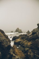 Vignette de 
