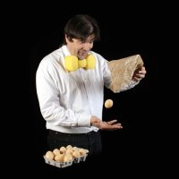 oeufs
